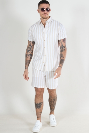 Joshua Oxford Strip Shirt SS Crockery