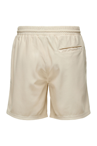 Tel Regular Plizze Shorts Moonstruck